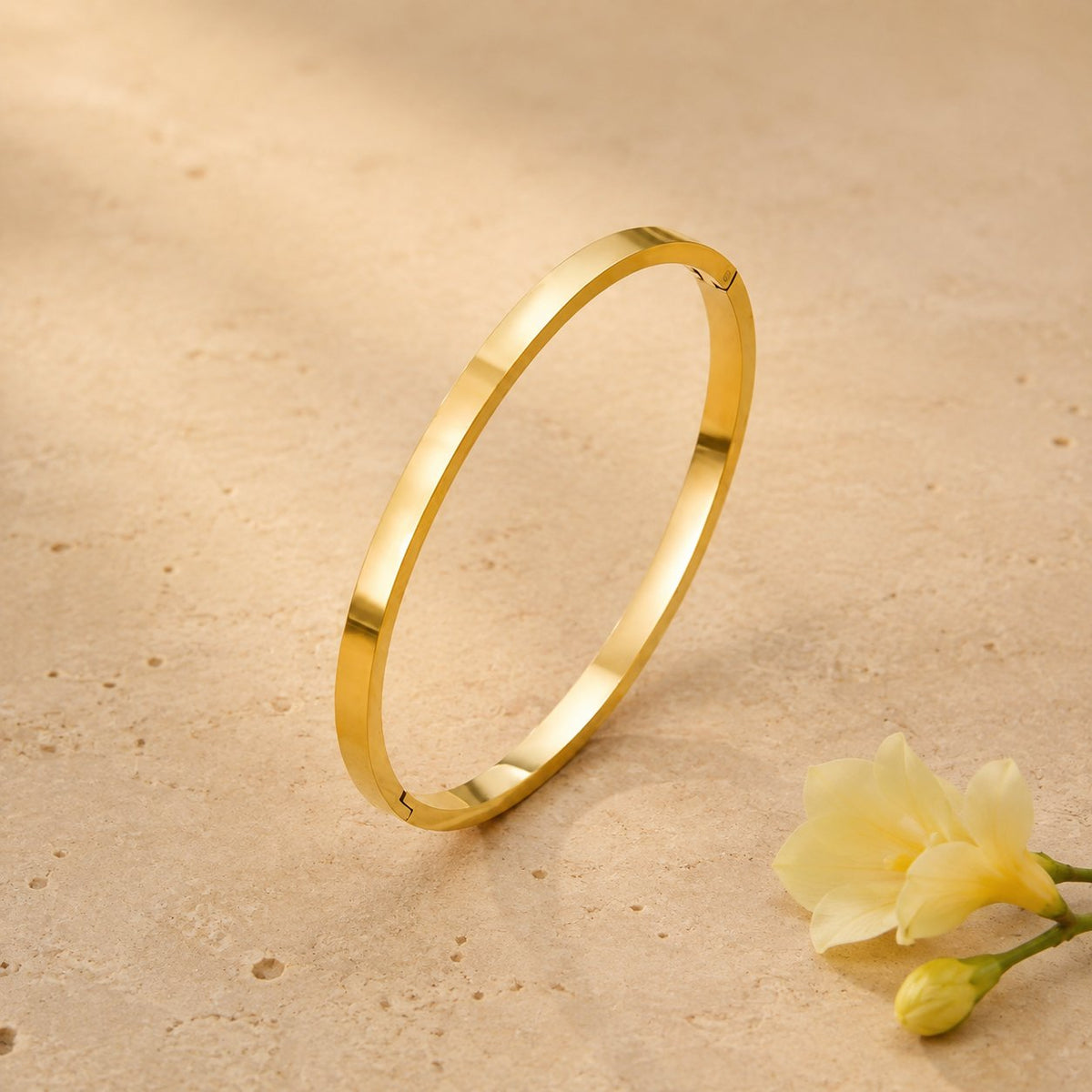 Franca Bangle