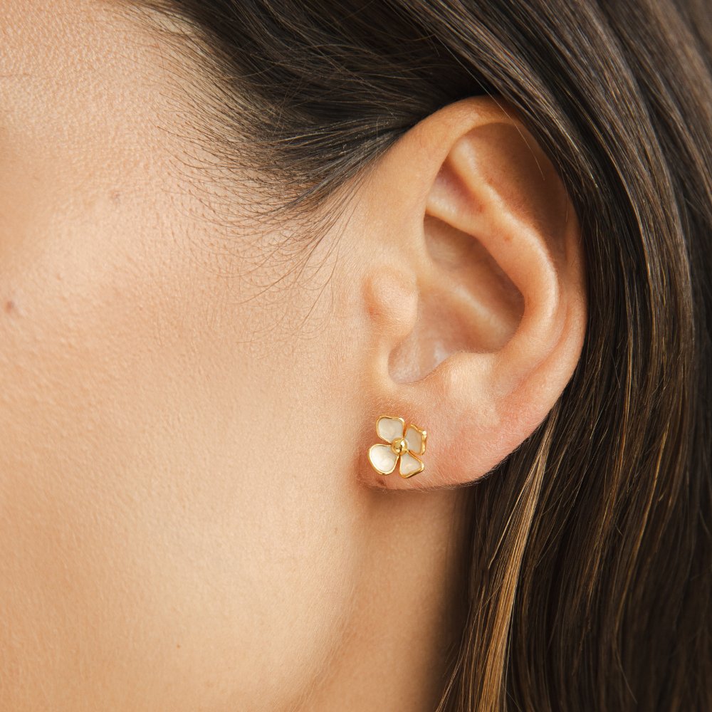 Primula Flower Studs