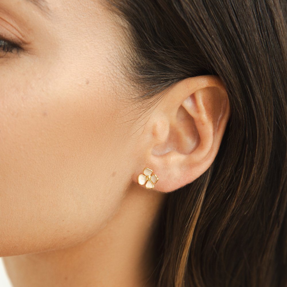 Primula Flower Studs