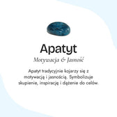 "Drop" Choker Necklace in Apatite